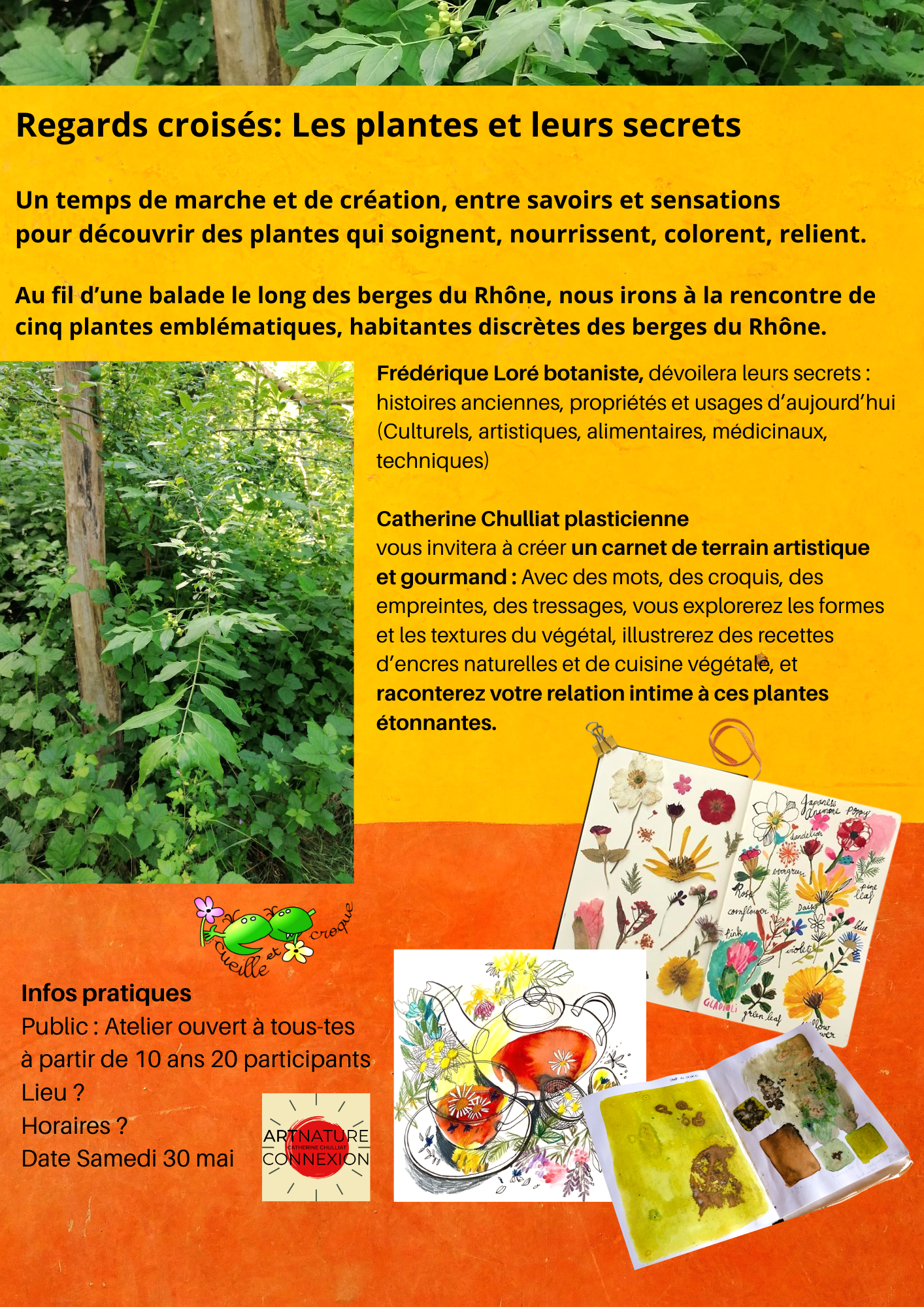 programme