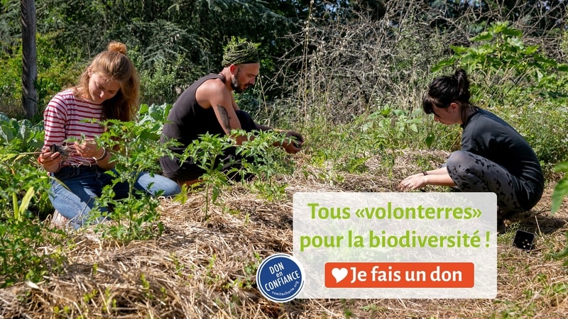 Tous volonTerres pour la biodiversité